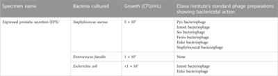 Case report: Successful treatment of recurrent E. coli infection with bacteriophage therapy for patient suffering from chronic bacterial prostatitis